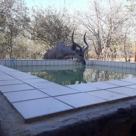 Eagle'S Crest Villa Marloth Park Exterior photo