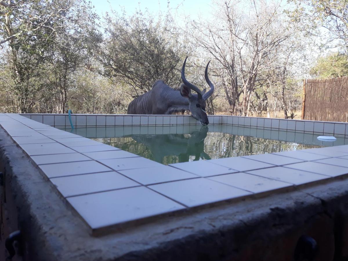 Eagle's Crest Marloth Park