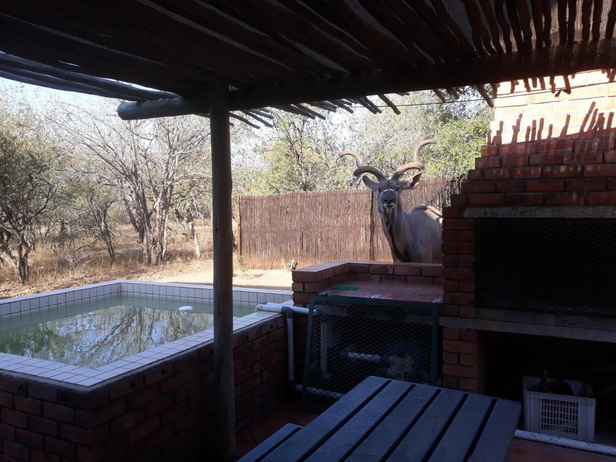 Eagle's Crest * Marloth Park