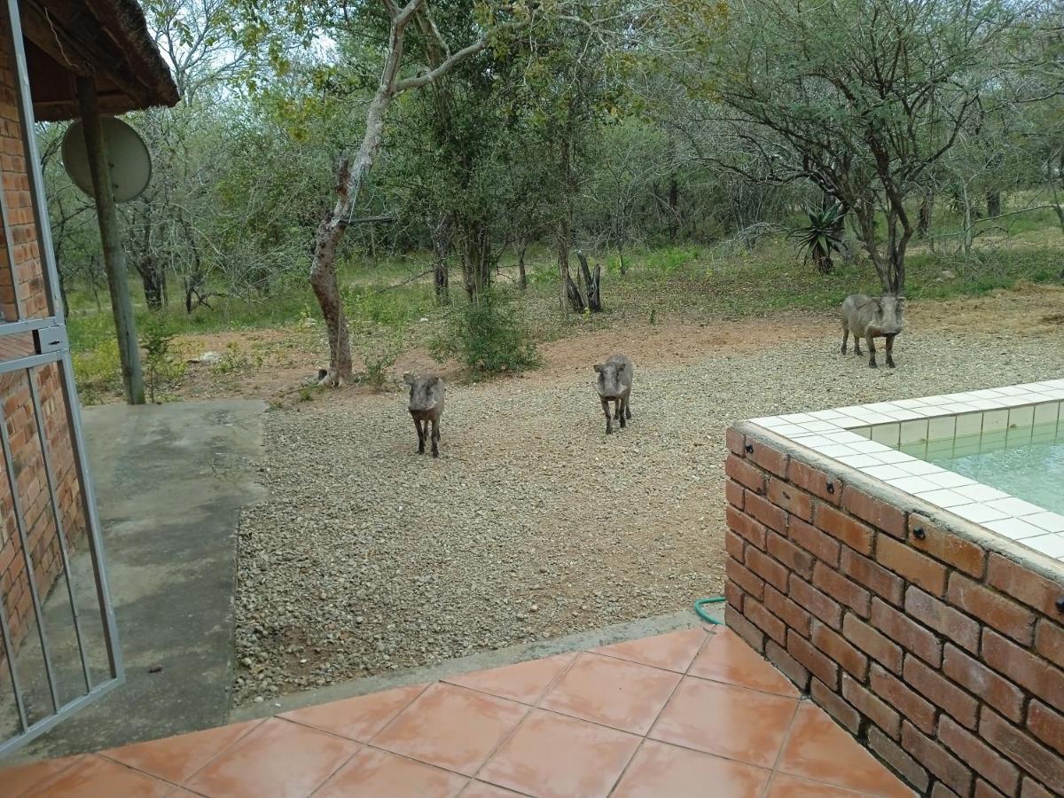 Eagle's Crest Holiday home *