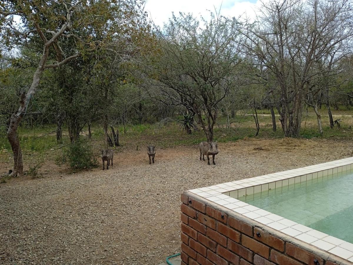 Eagle's Crest * Marloth Park